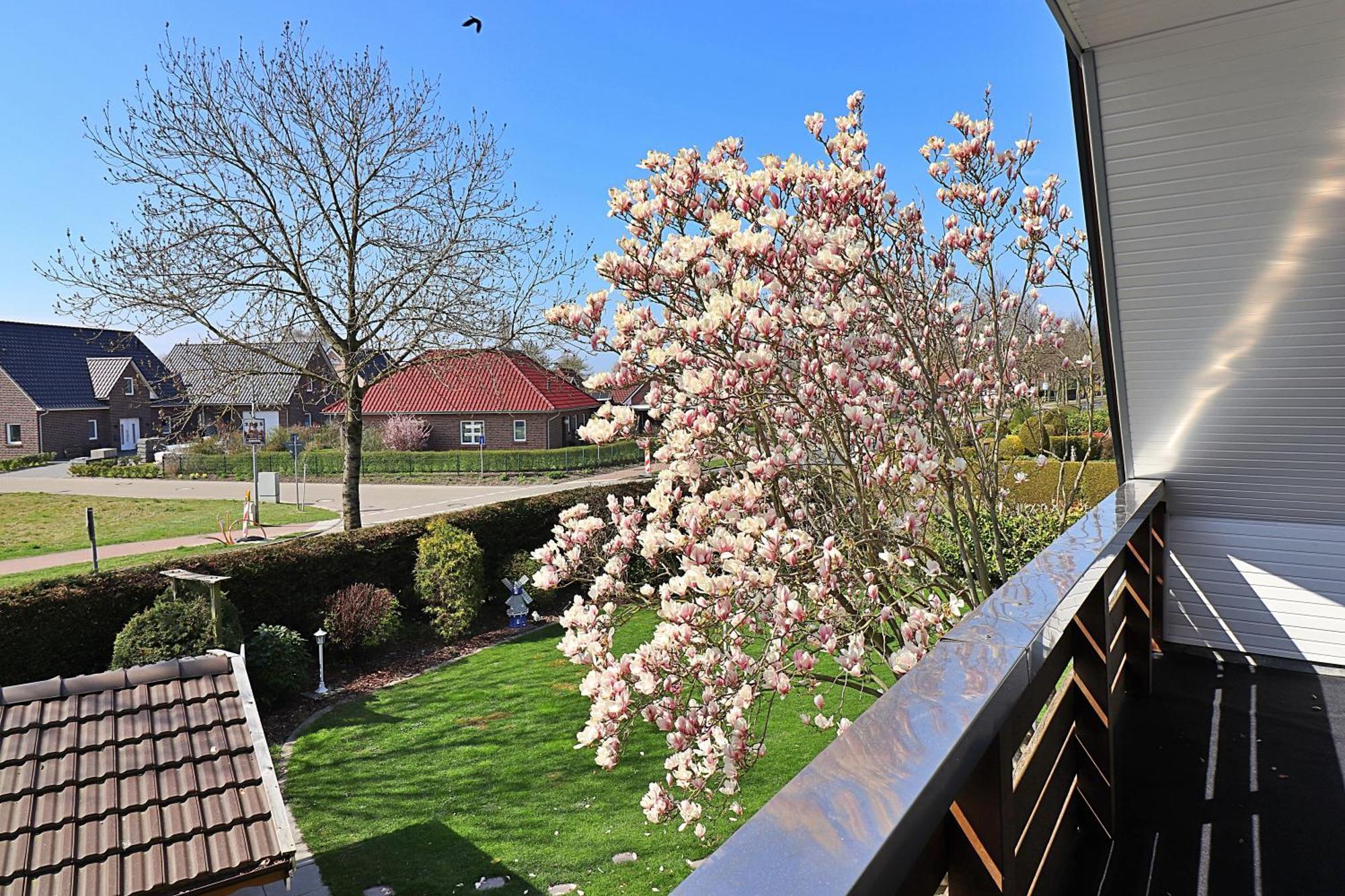 Ferienwohnungen "Zur Friesen Freude" - Nur Fuer Feriengaeste Dornum Bagian luar foto